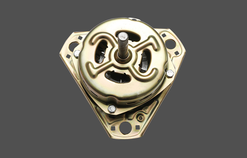 TY001 Double-tub washing machine dedikadong motor