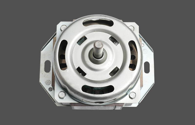 Mga Bahagi ng Home Appliance na naghuhugas ng motor